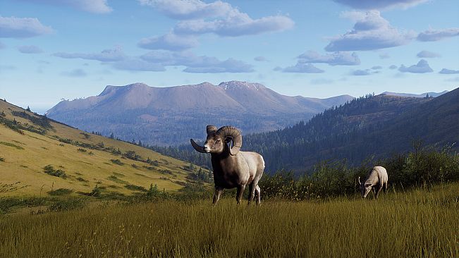 Way of the Hunter - Elkcrest Island