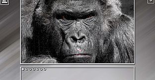 Super Jigsaw Puzzle: Generations - Monkeys & Apes Puzzles