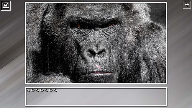 Super Jigsaw Puzzle: Generations - Monkeys & Apes Puzzles