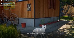 Cat Island Petrichor