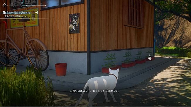 Cat Island Petrichor