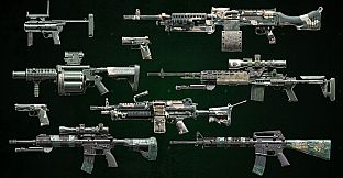 Squad Weapon Skins - Recon Team Pack