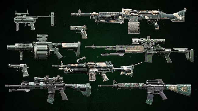 Squad Weapon Skins - Recon Team Pack