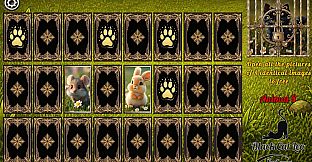 Four Paws