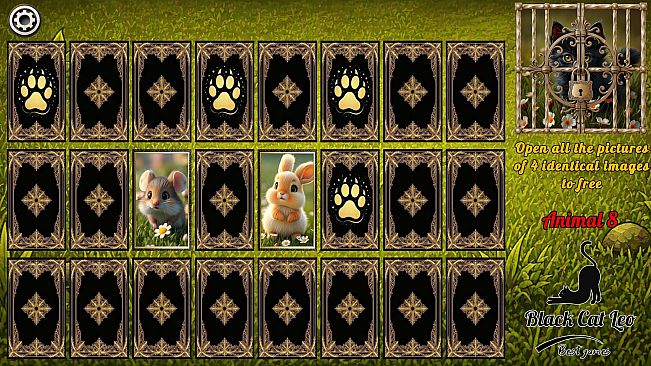 Four Paws