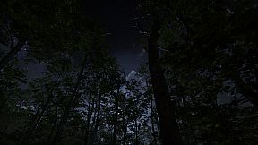 Camping Vlog Simulator 2024