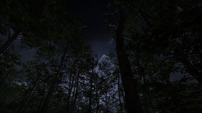 Camping Vlog Simulator 2024