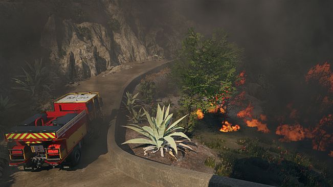 Rescue Ops: Wildfire