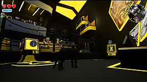 Never Experiment On Cats!