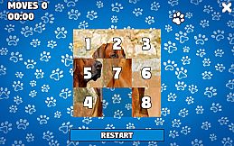 CatDog Puzzle
