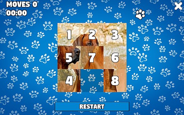 CatDog Puzzle