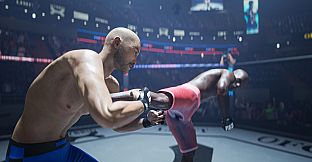 OFC - Ultimate Fighting Club