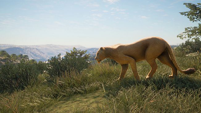 theHunter: Call of the Wild - New Species 2019