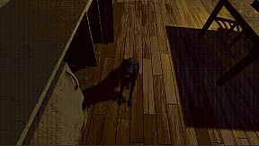 The door you can never open