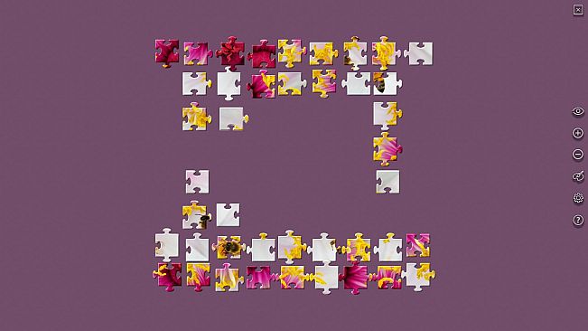 House of Jigsaw: The Best of Macro Photography