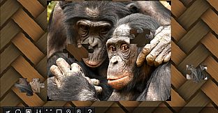 Jigsaw Puzzle World - Primates