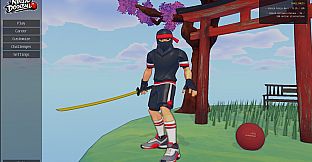 Ninja Dodgeball