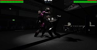 Iron Fury: Robot Boxing