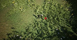 Shades Of Rayna - Damage Type Pets