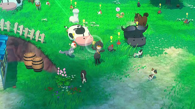 STORY OF SEASONS: Grand Bazaar - Super Digital Deluxe DLC Set