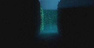 Shifting To The Backrooms