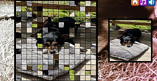 OG Puzzlers: Kira Maus