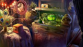 Faces of Illusion: The Twin Phantoms