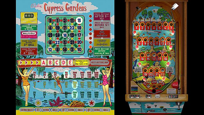 Bingo Pinball Gameroom - Bally Cypress Gardens