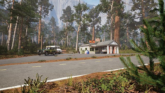 Yosemite Forest Ranger