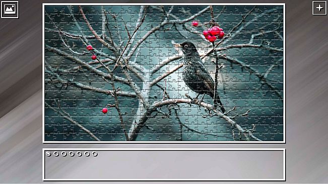 Super Jigsaw Puzzle: Generations - Birds 2