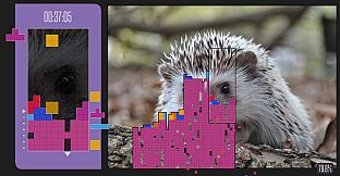 Block Breakin' Logic Downstacker