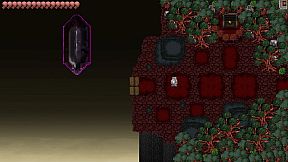 The Knowledge of Hermit