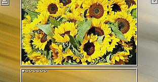 Super Jigsaw  Puzzle: Generations - Random Puzzles