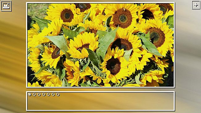 Super Jigsaw  Puzzle: Generations - Random Puzzles