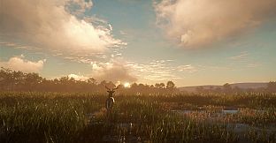 theHunter: Call of the Wild - Mississippi Acres Preserve