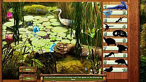 Vacation Adventures: Park Ranger