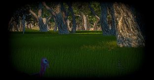 Turkey Hunting Unlimited