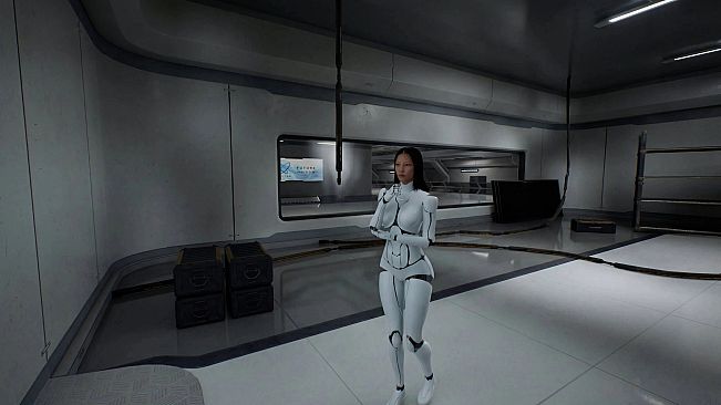 S.E.X. Project: Simulated Emotional Xenotech