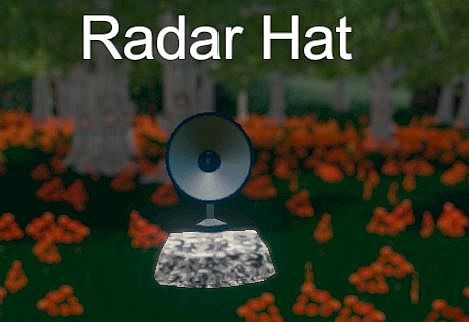 Hide and Seek - Radar Hat