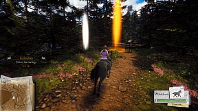 Windstorm: Start of a Great Friendship