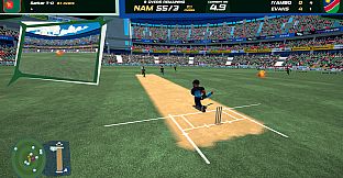 Don Bradman Cricket Jr