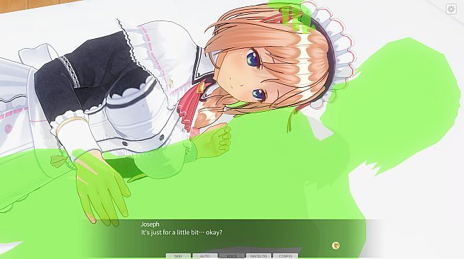 CUSTOM ORDER MAID 3D2 Sexy and Ladylike Woman GP-01fb