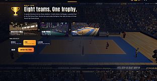 Volleyball Mania