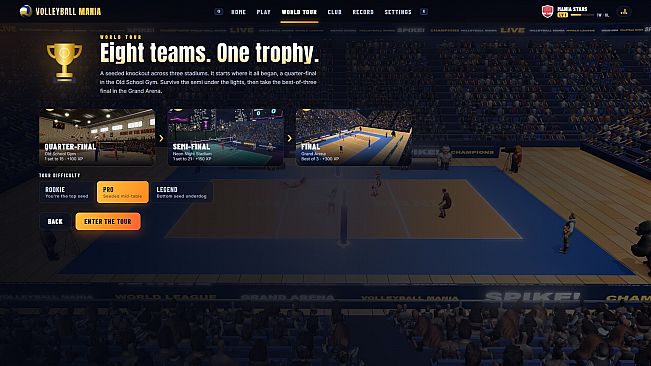 Volleyball Mania