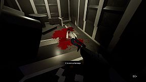 The SS Destiny Disaster