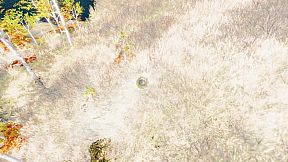 The Ball Flow - Nature and Light