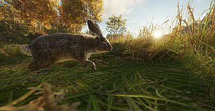 theHunter: Call of the Wild - Free Species: European Rabbit