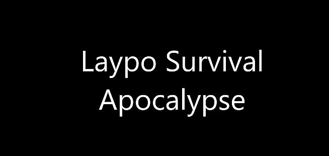 Laypo Simulator