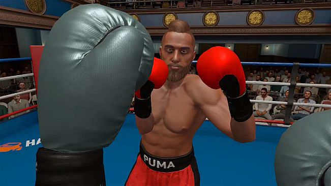The Thrill Of The Fight 2 - Puma Original Special Edition Black Gloves