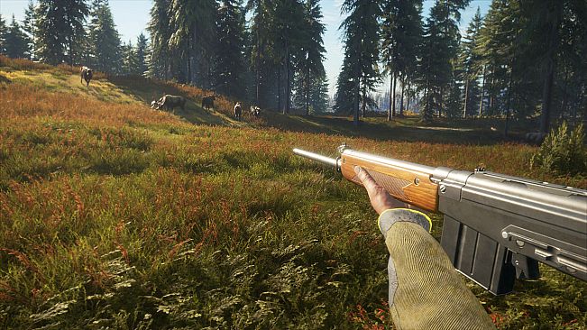 theHunter: Call of the Wild - Rapid Hunt Rifle Pack